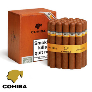 cohiba siglo VI Cotia
