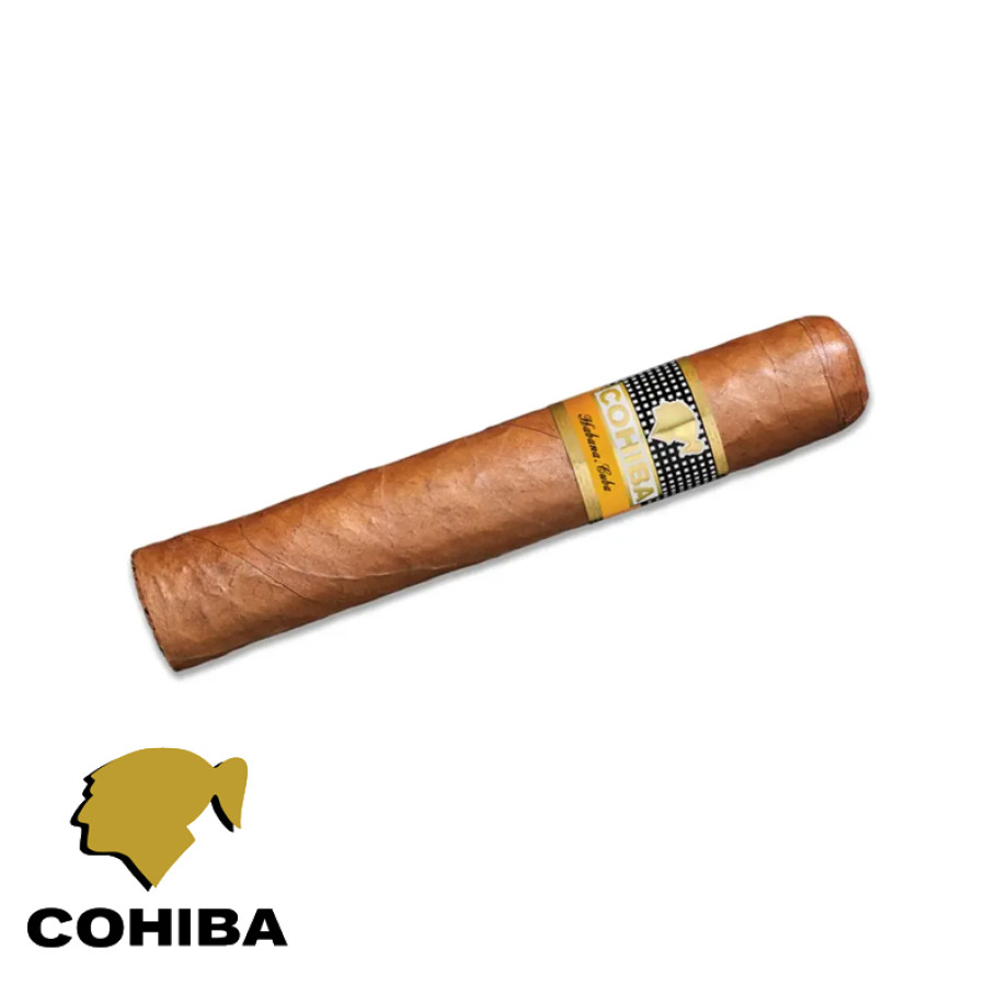 cohiba robustos Cotia