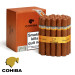 cohiba siglo VI Cotia