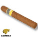 cohiba siglo VI Cotia