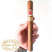 Charuto Romeo y Julieta Churchills cotia